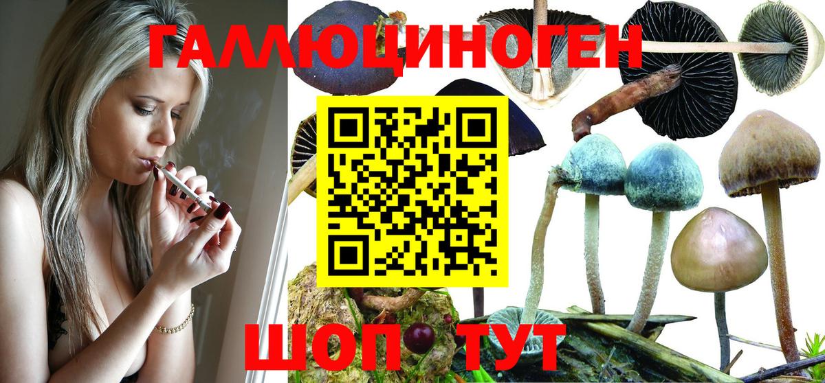 Галлюциногенные грибы мухоморы  Вход с VPN  Чусовой 
